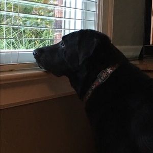 Meet your Posher, Kate